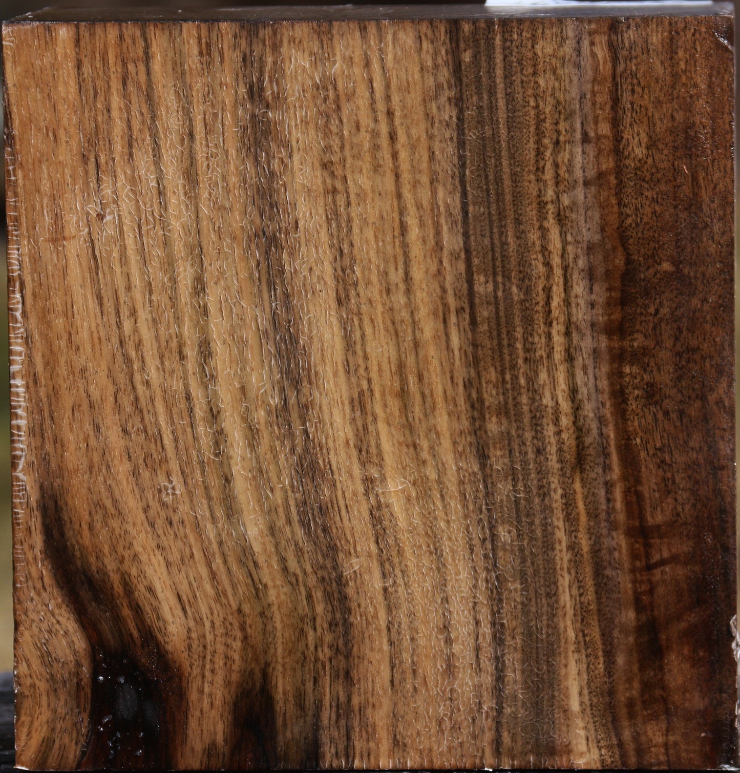 Claro Walnut Bowl Blank