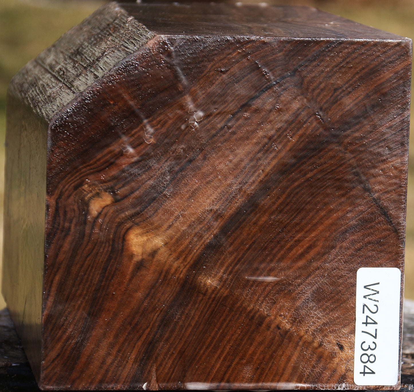 Claro Walnut Vessel Blank