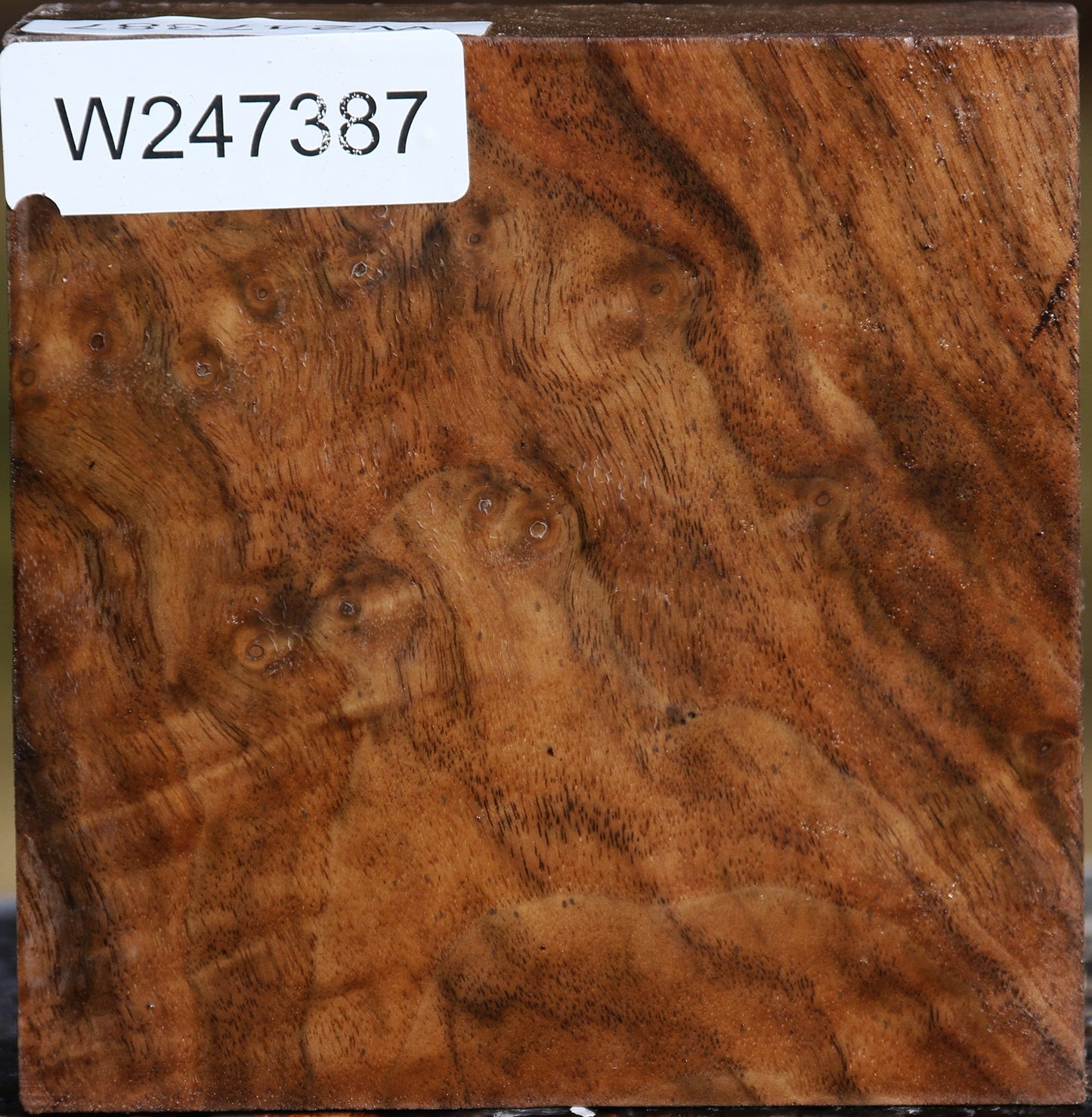 Claro Walnut Bowl Blank