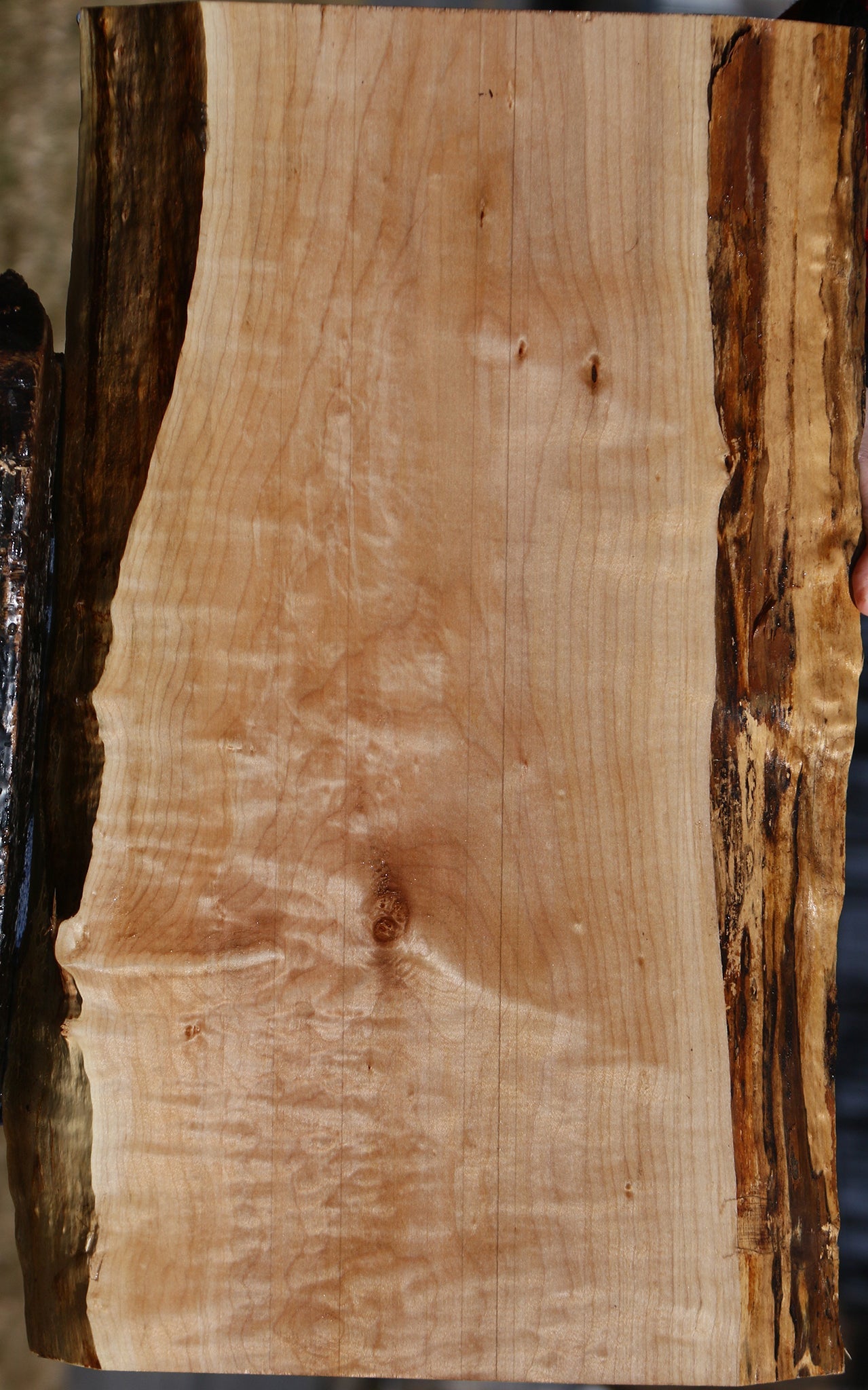 Figured Maple Live Edge Lumber