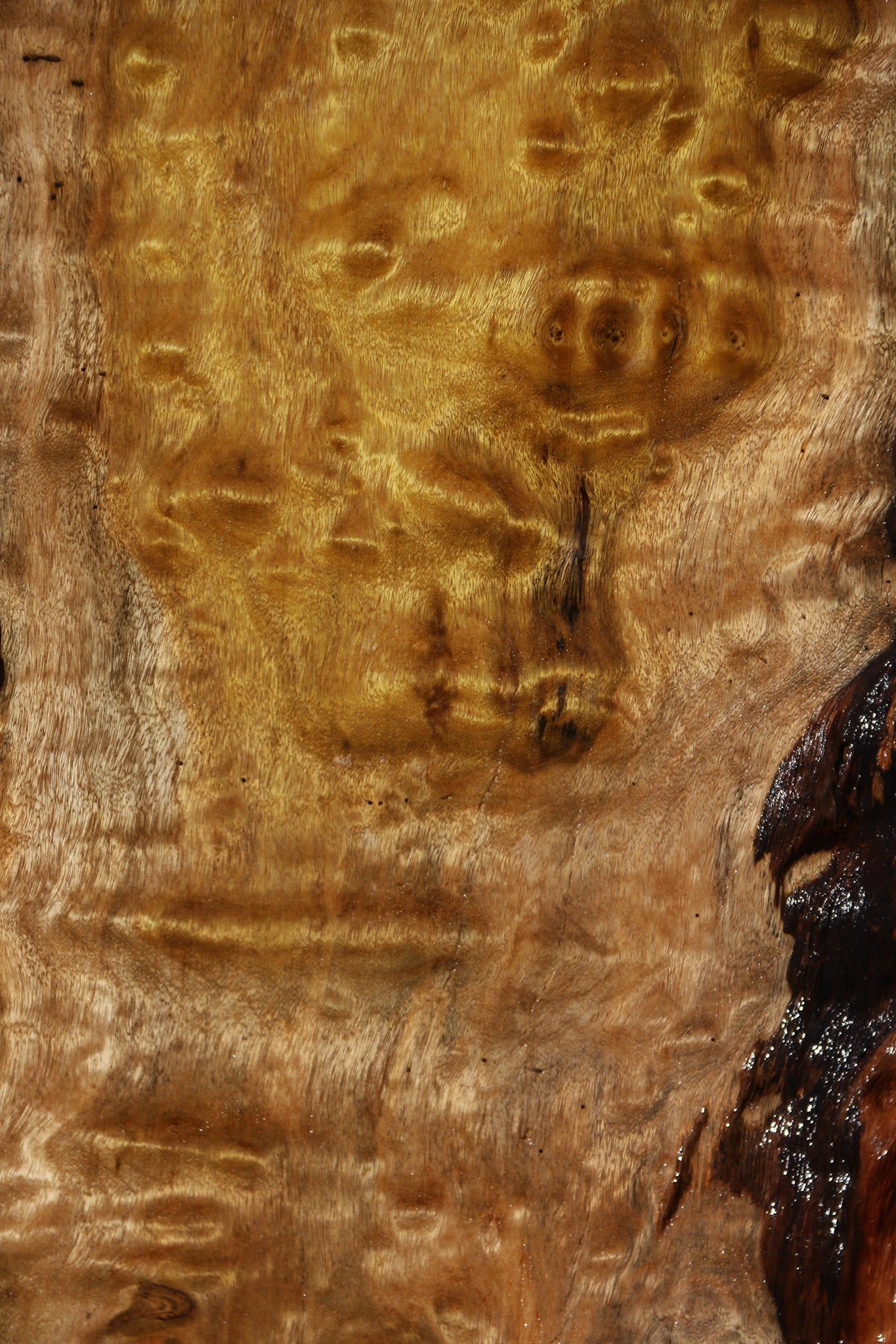 Extra Fancy Itauba Live Edge Lumber