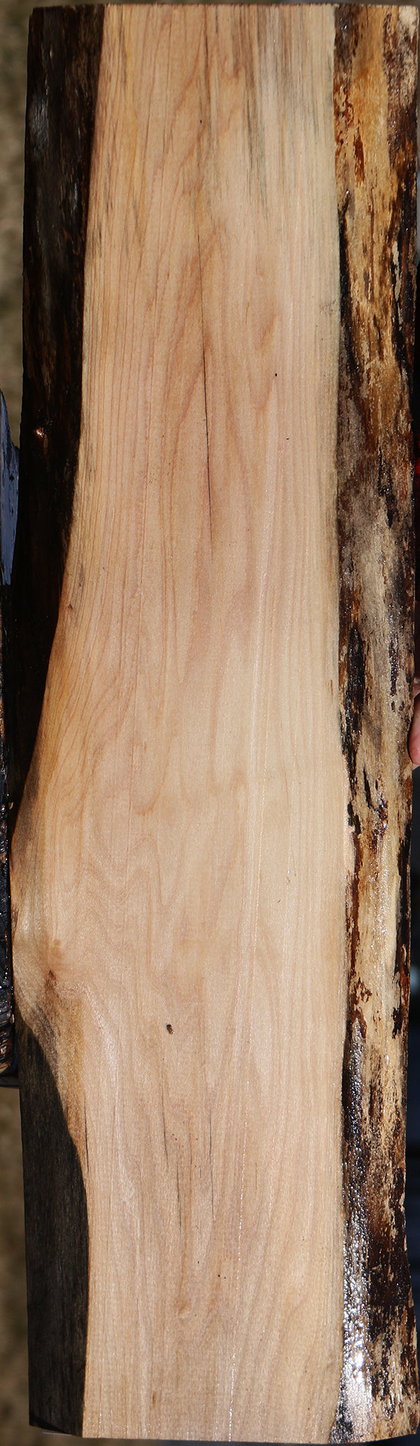 Maple Live Edge Lumber