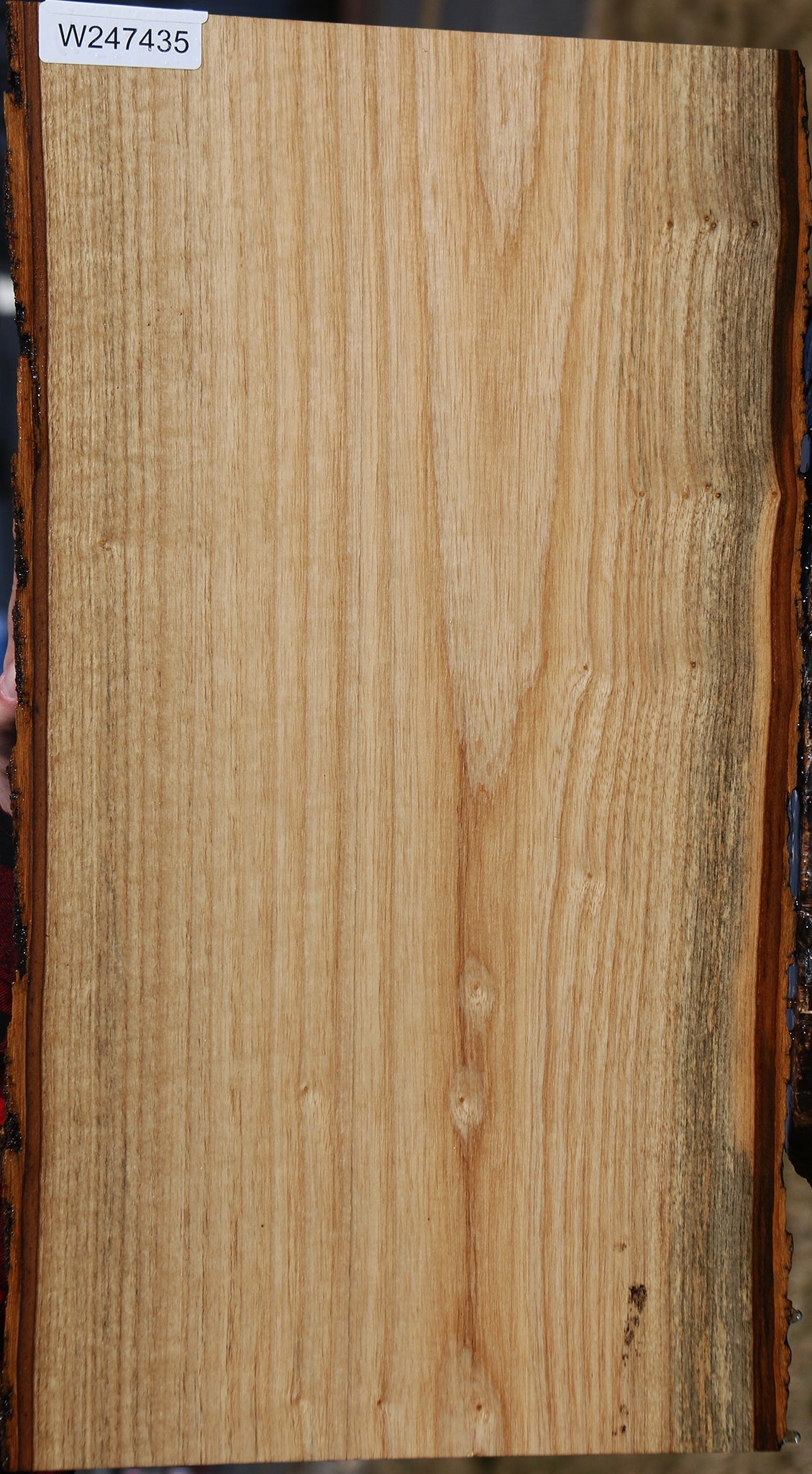 Butternut Live Edge Lumber – Cook Woods