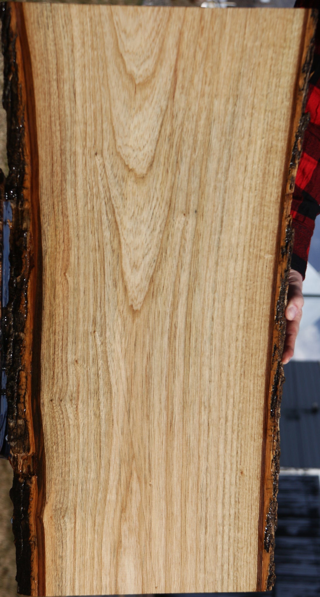 Butternut Live Edge Lumber