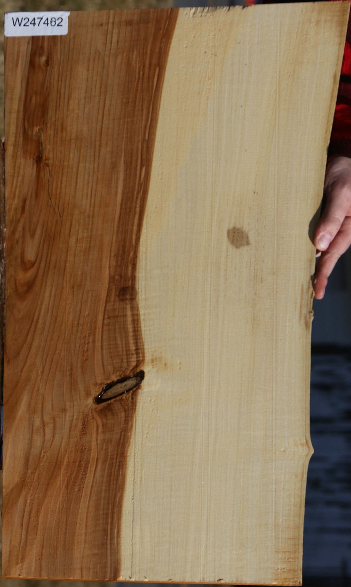 Modesto Ash Live Edge Micro Lumber