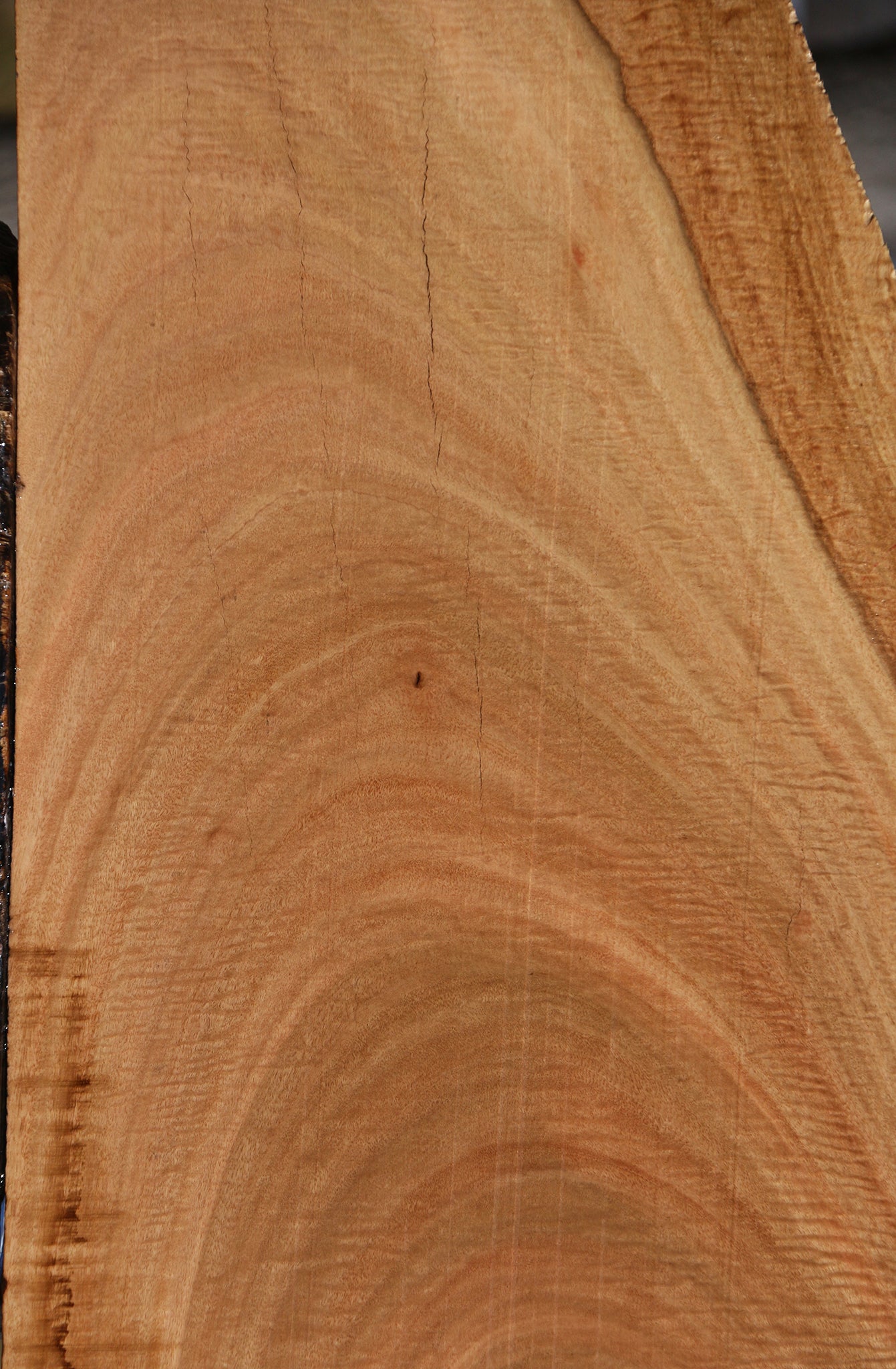 Extra Fancy Eucalyptus Live Edge Lumber