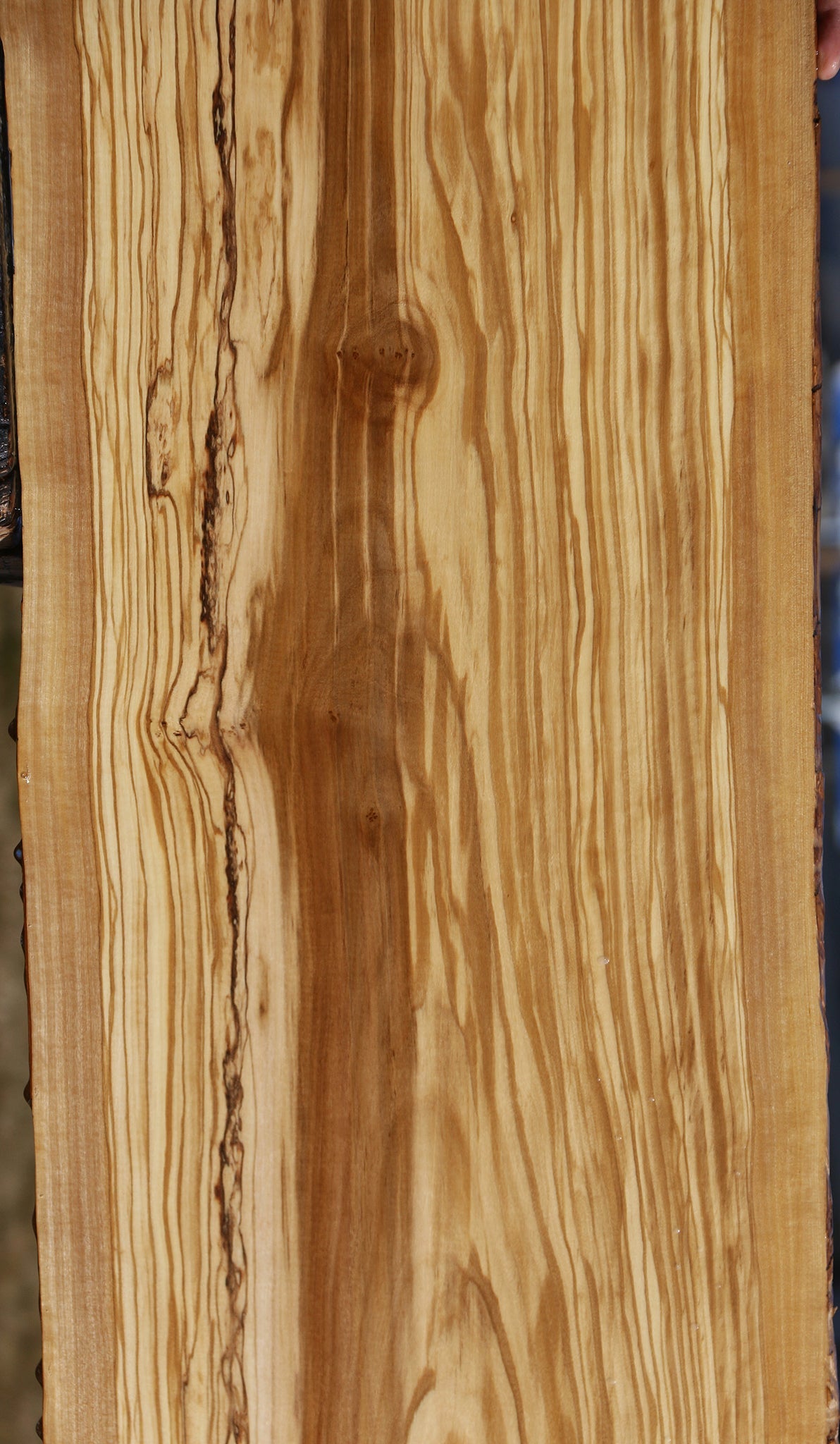 Italian Olive Live Edge Lumber
