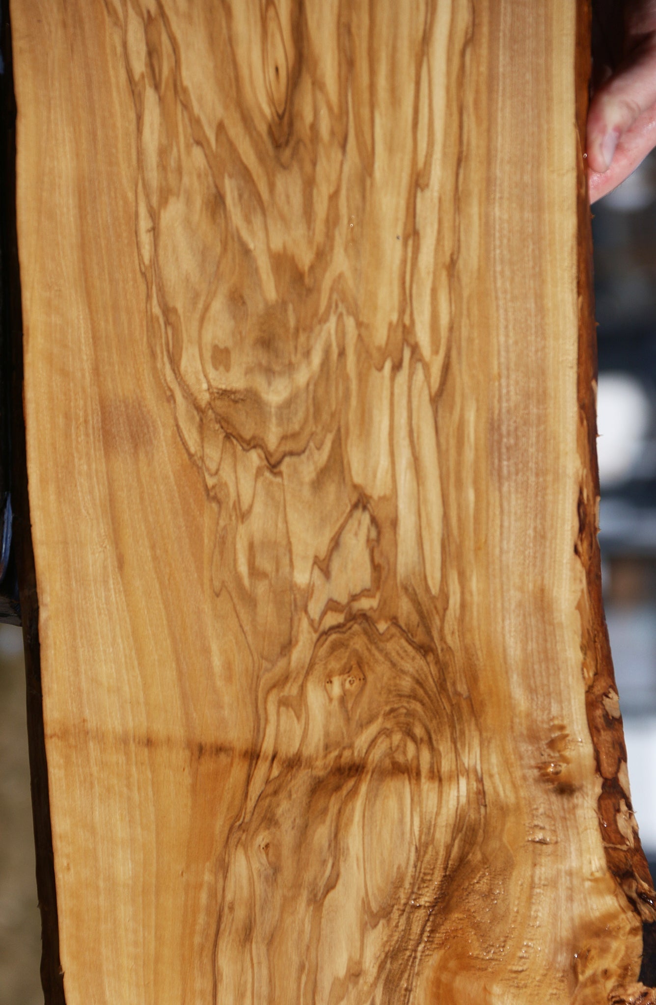 Italian Olive Live Edge Lumber