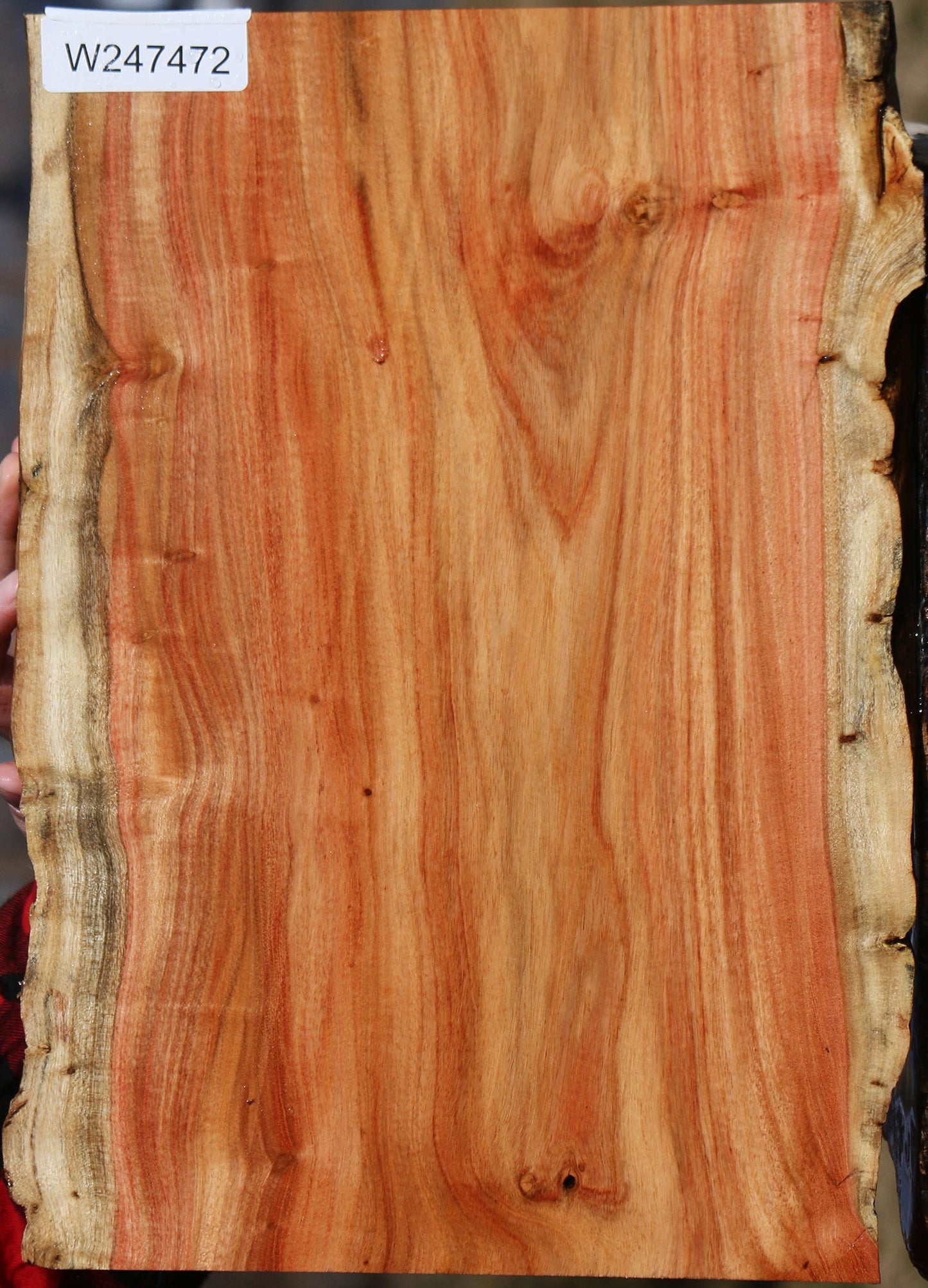 Carob Live Edge Lumber