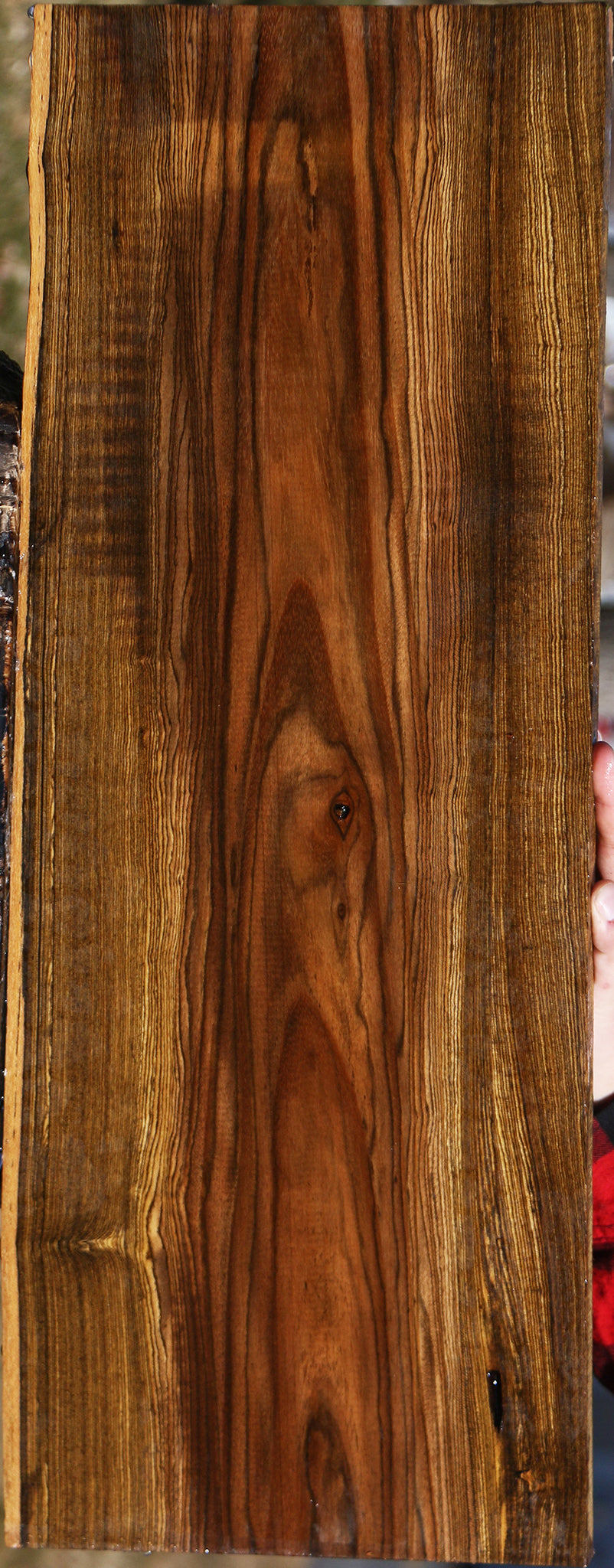 Bocote Live Edge Lumber