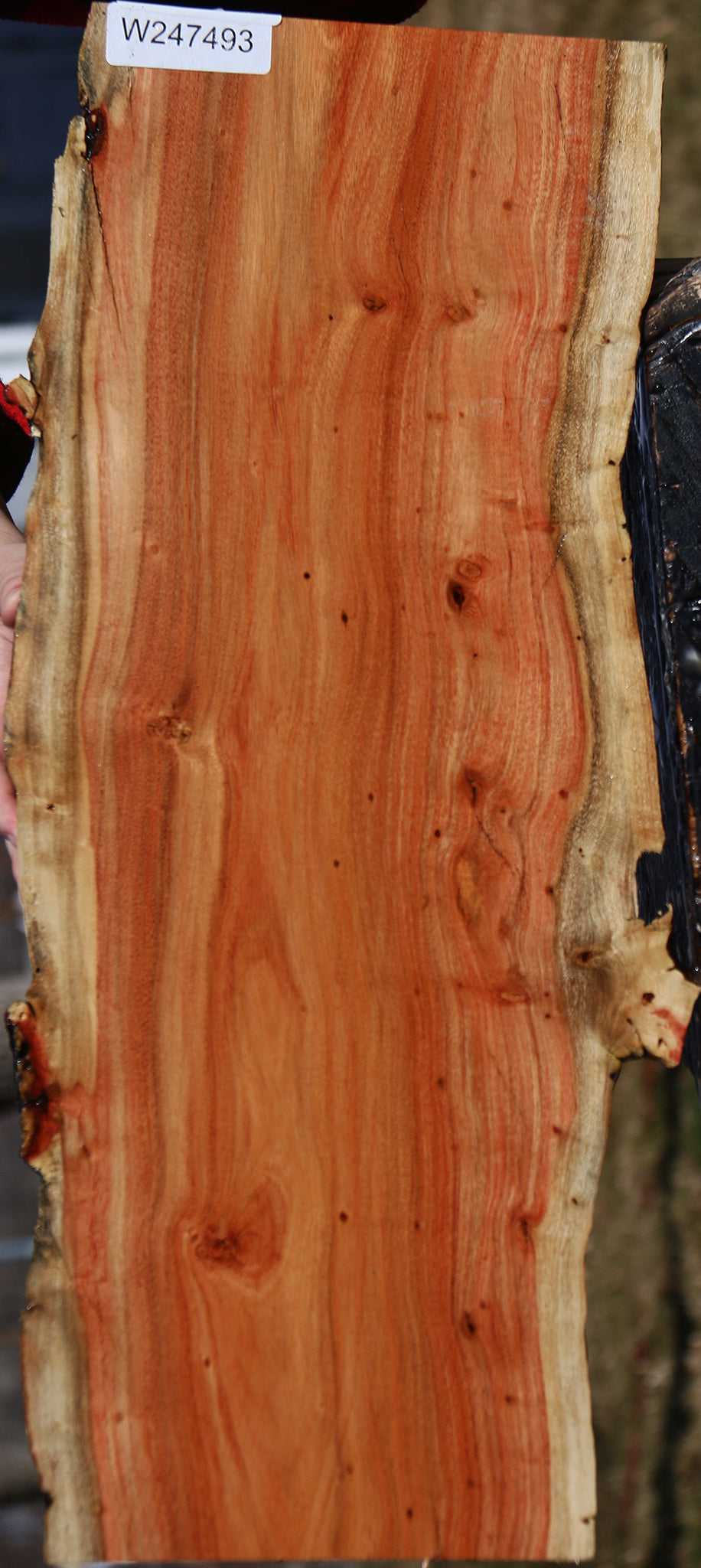 Figured Carob Live Edge Lumber