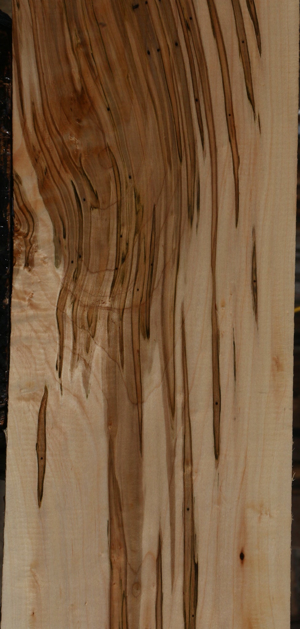 Extra Fancy Ambrosia Maple Lumber