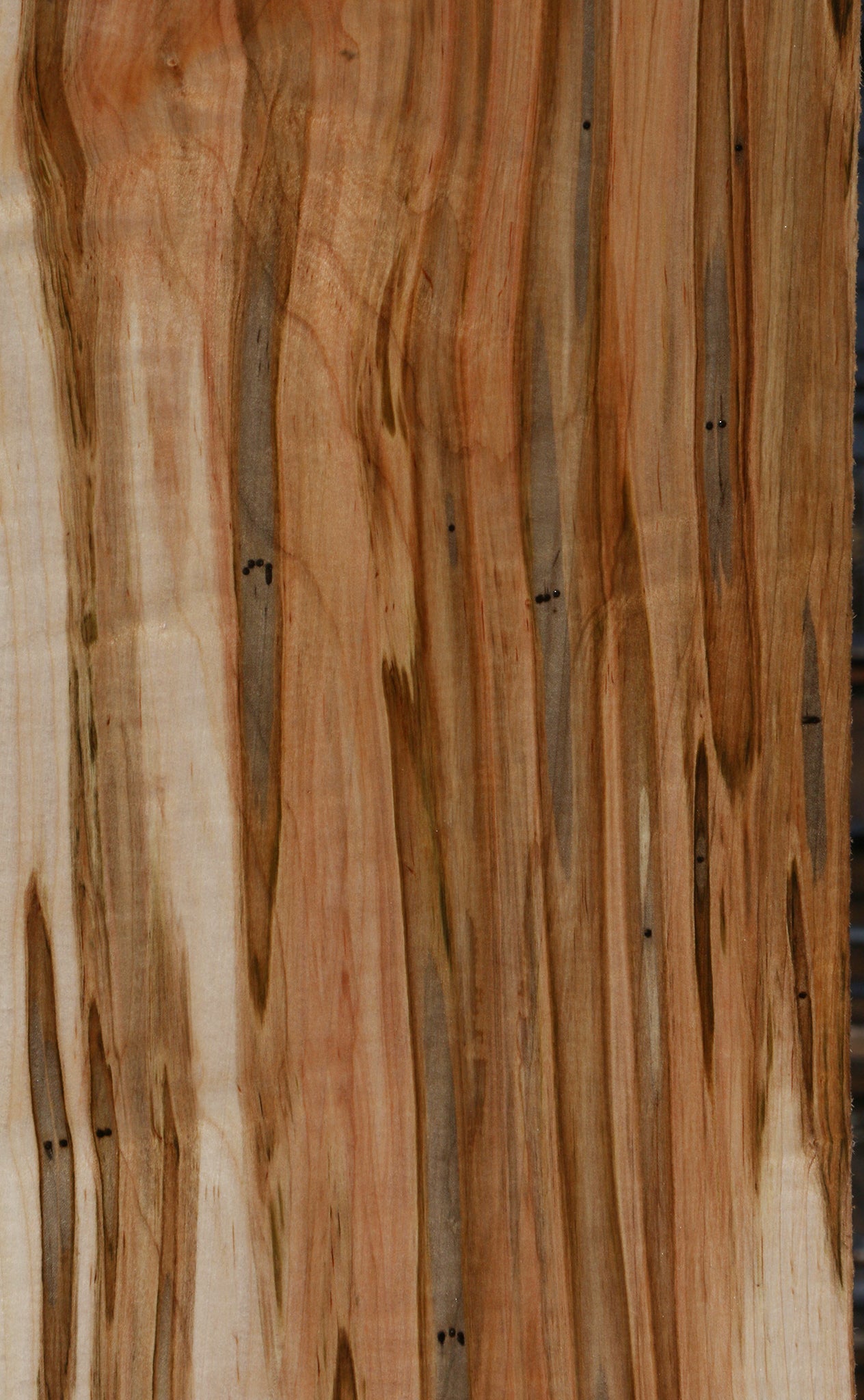 Extra Fancy Ambrosia Maple Lumber