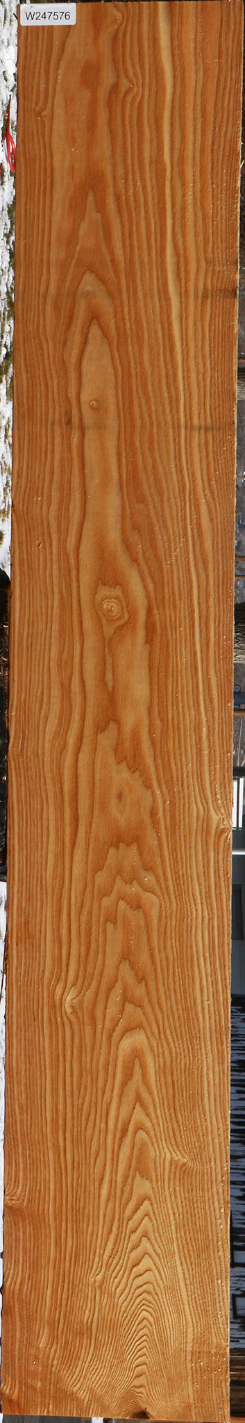 Kentucky Coffeetree Lumber