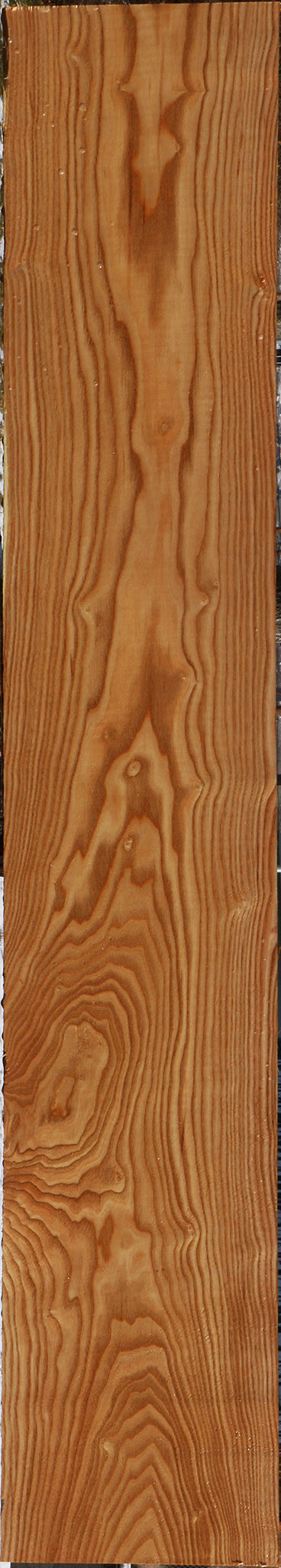 Kentucky Coffeetree Lumber
