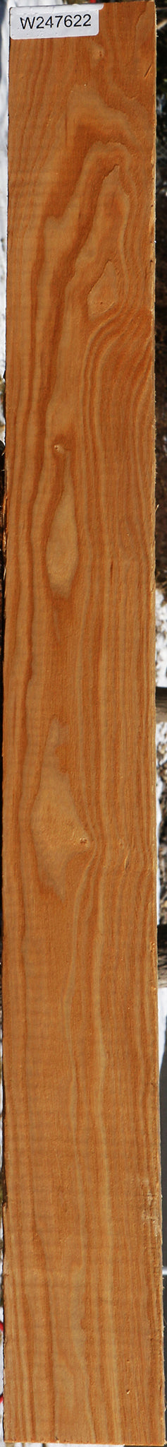 Kentucky Coffeetree Lumber