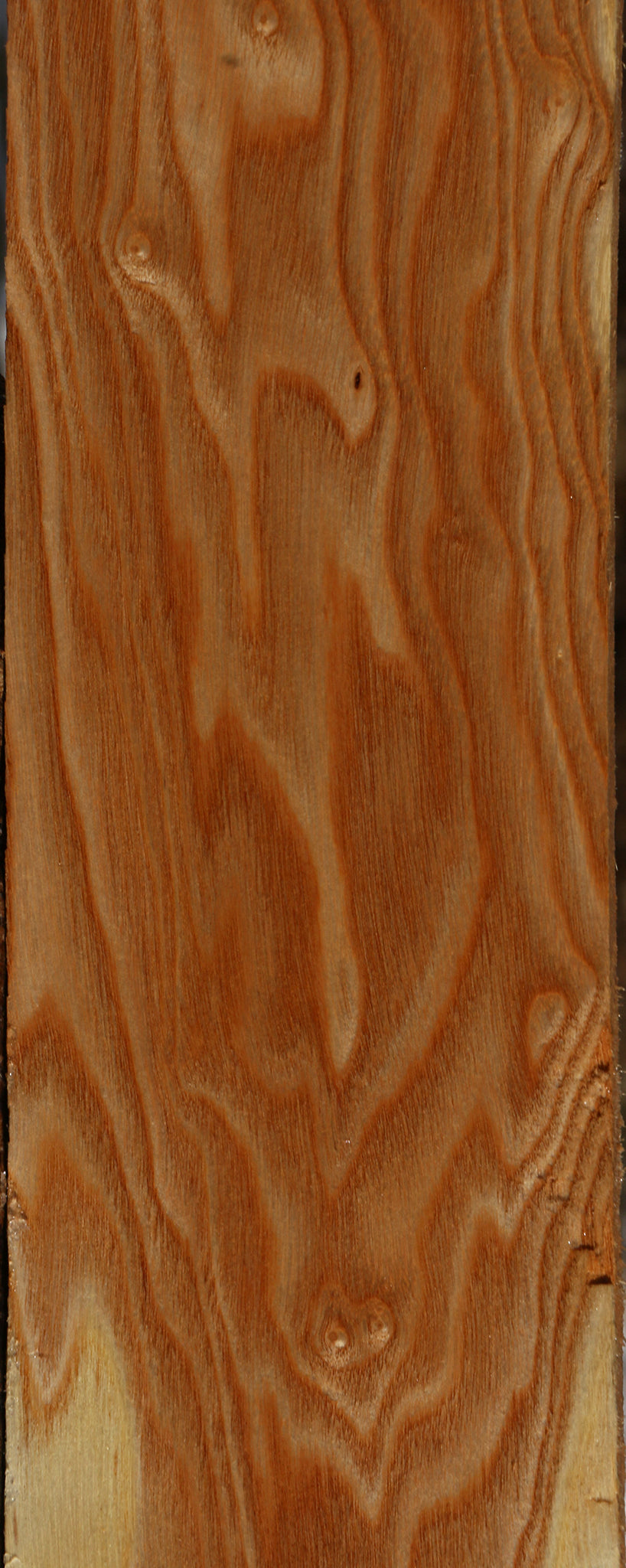Kentucky Coffeetree Lumber