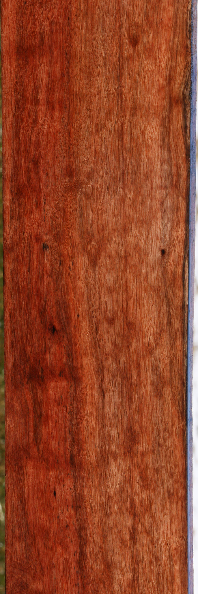 Figured Amara Ebony Lumber