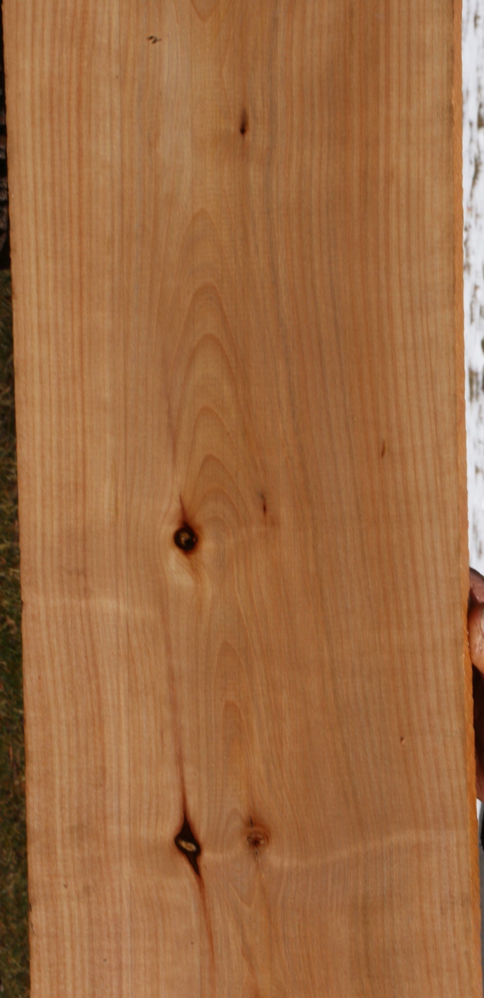 Rustic Madrone Lumber