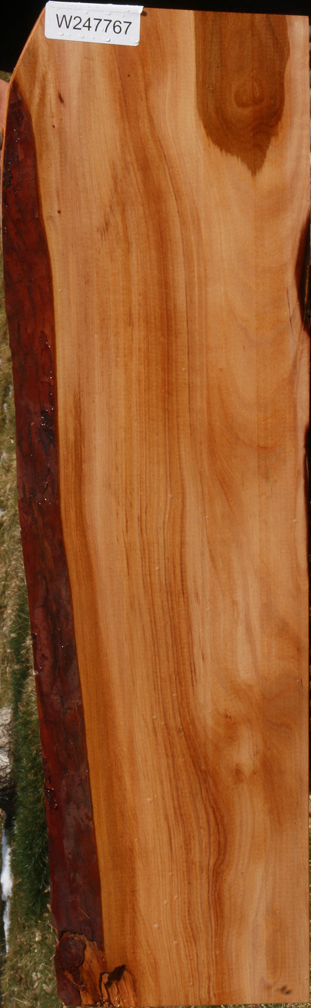 Madrone Live Edge Lumber