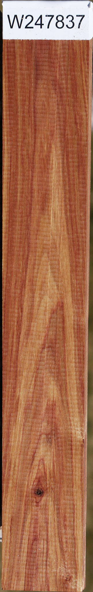 Tulipwood Lumber