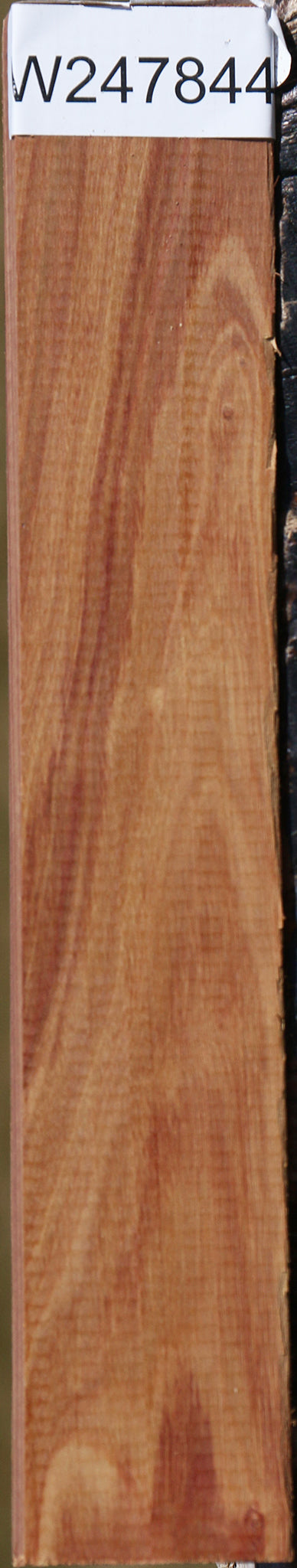 Tulipwood Lumber