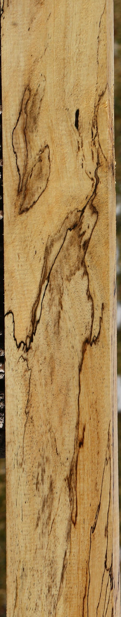 Figured Spalted Tamarind Lumber