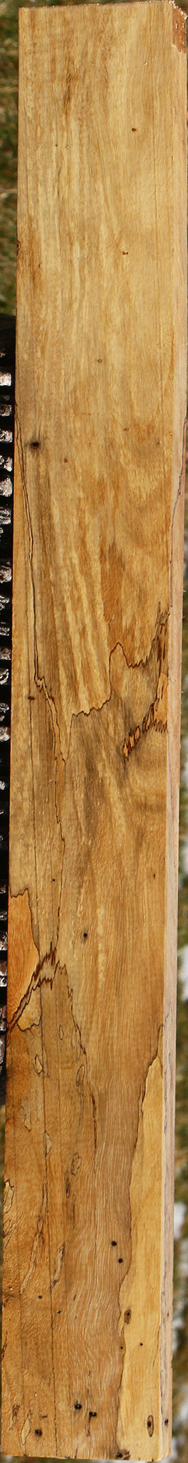 Figured Spalted Tamarind Lumber