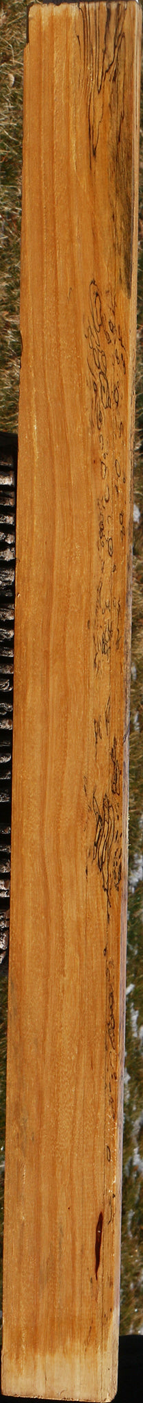 Spalted Tamarind Lumber