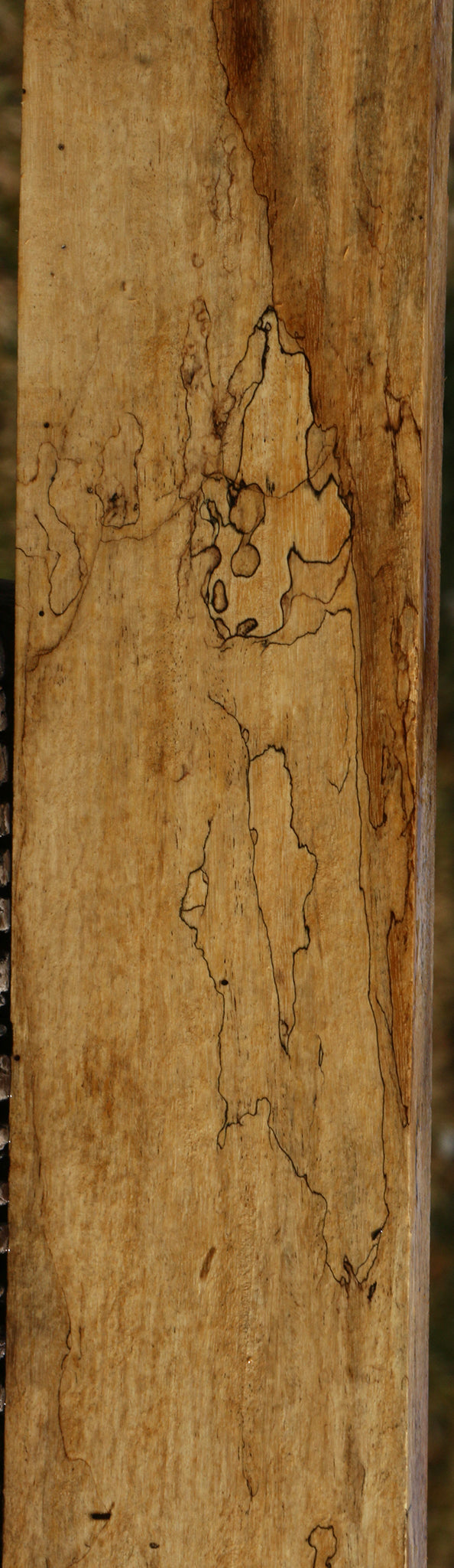 Figured Spalted Tamarind Lumber