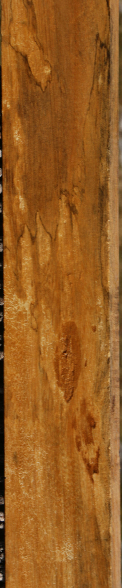 Spalted Tamarind Lumber