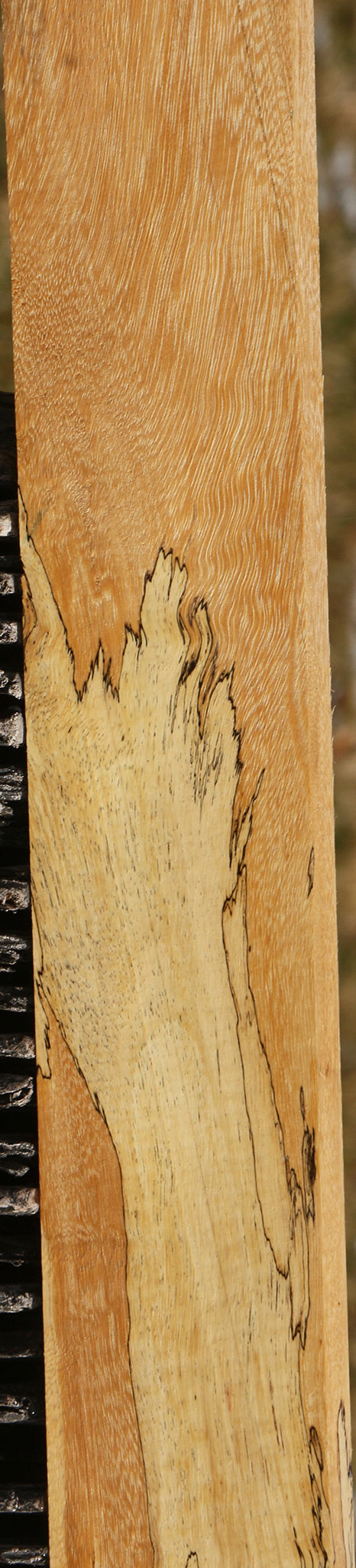 Figured Spalted Tamarind Lumber