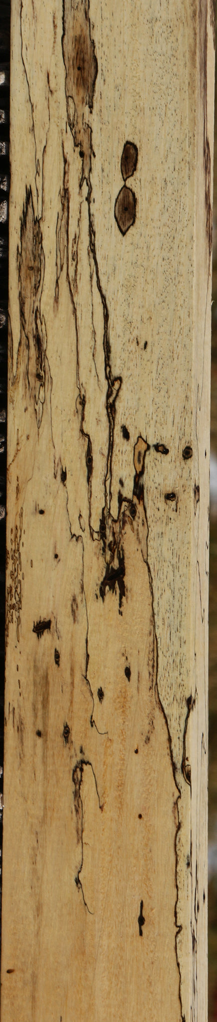 Figured Spalted Tamarind Lumber