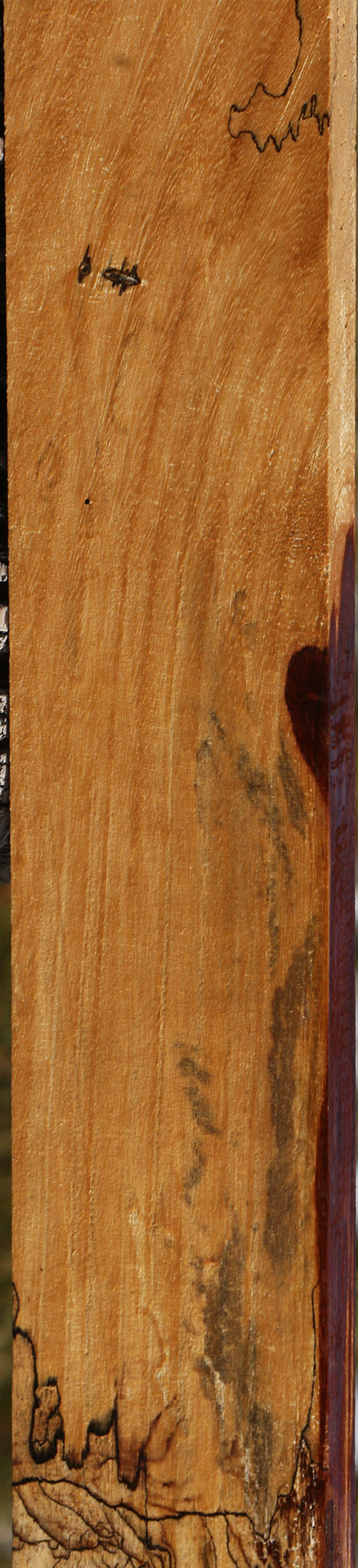 Spalted Tamarind Lumber