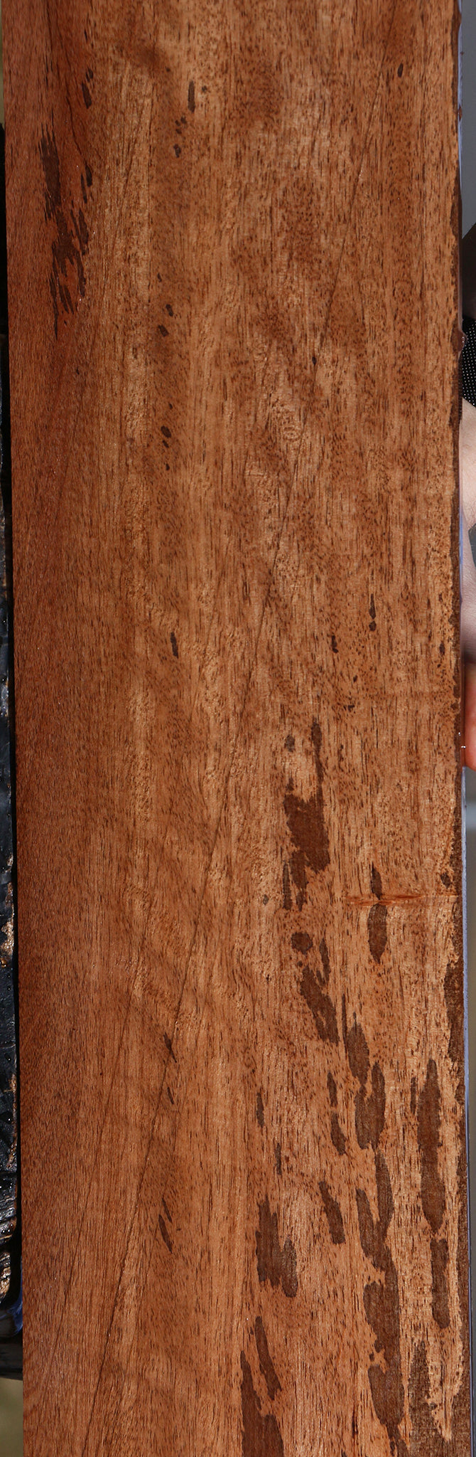 Figured Jackalberry Ebony Lumber