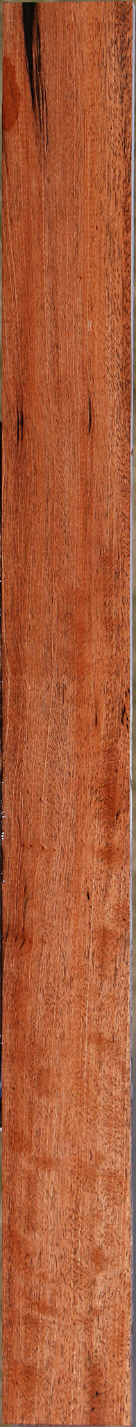 Figured Jackalberry Ebony Micro Lumber