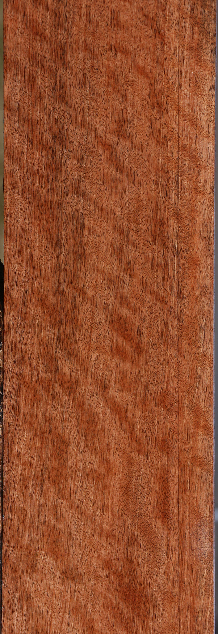 Extra Fancy Jackalberry Ebony Micro Lumber