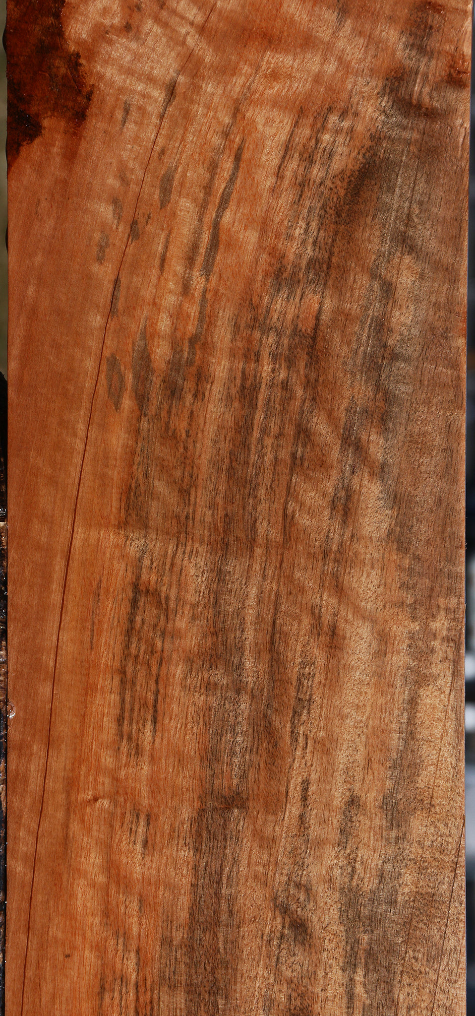 Extra Fancy Jackalberry Ebony Micro Lumber