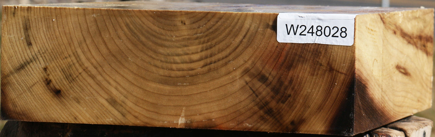 Myrtle Bowl Blank