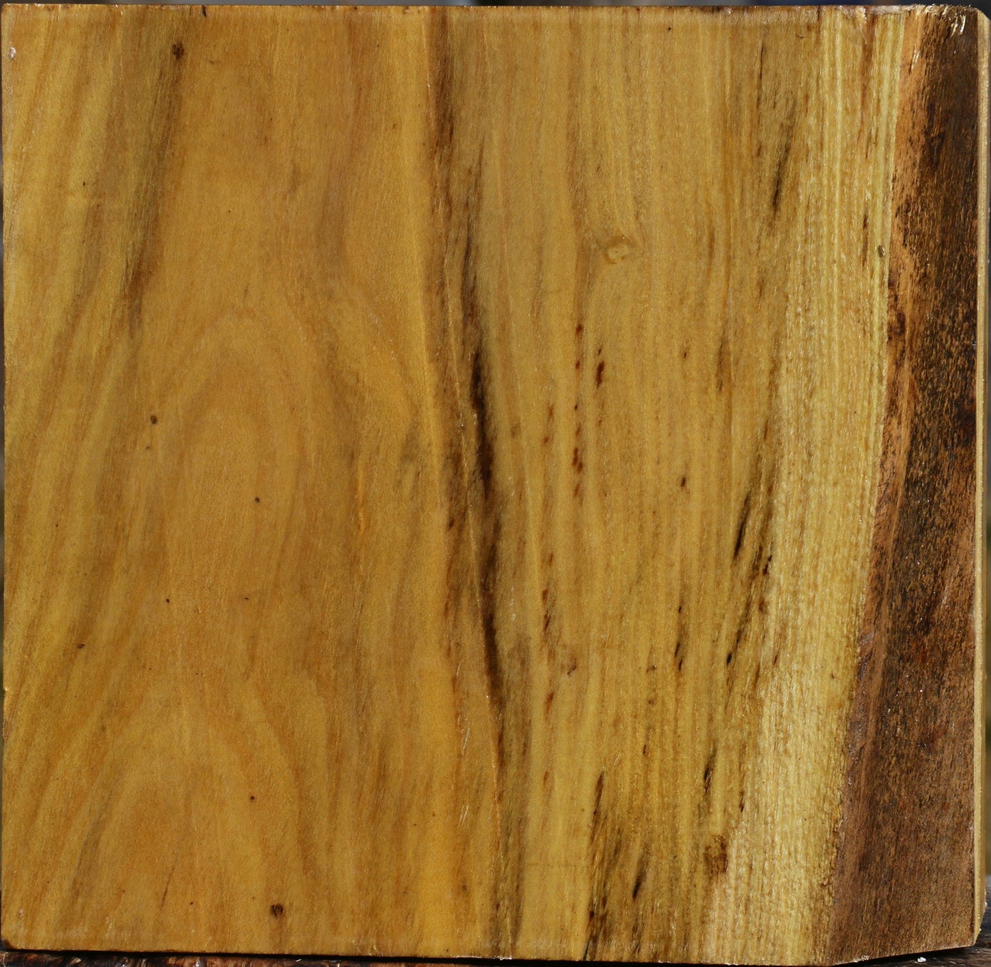 Mulberry Bowl Blank