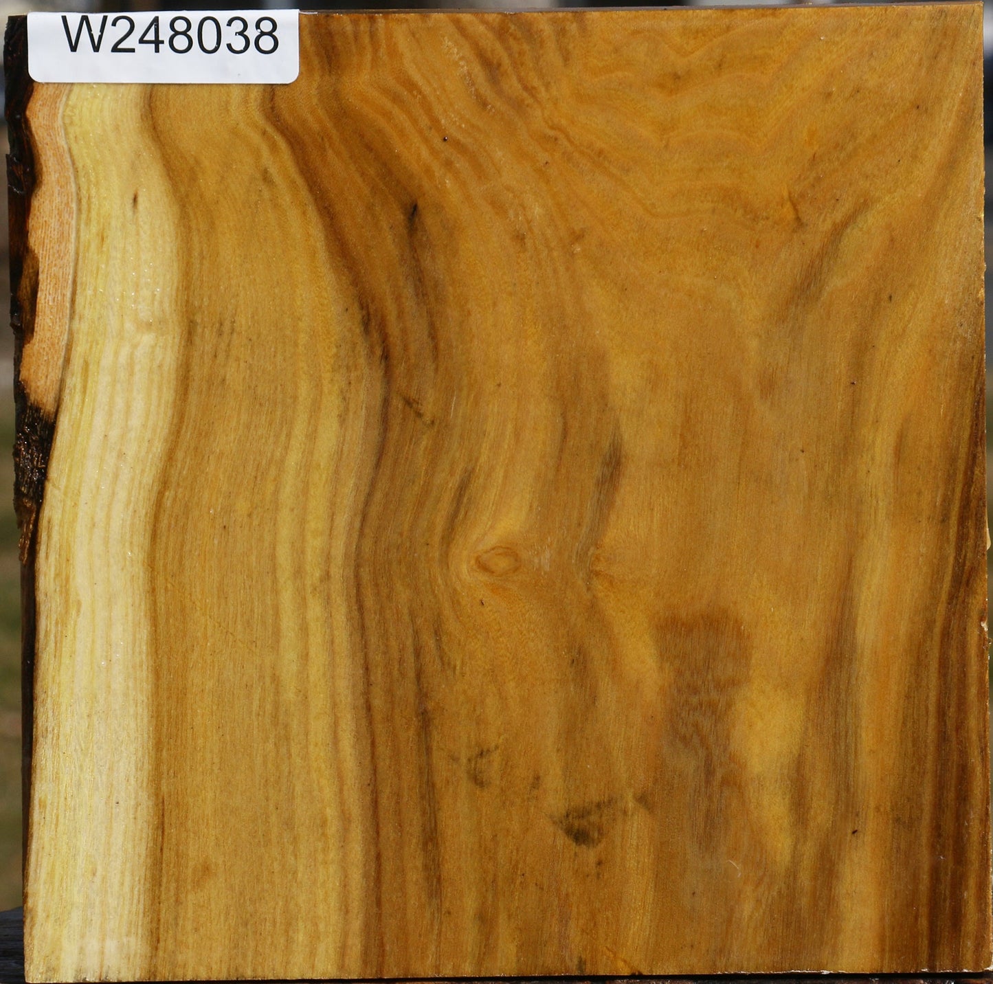 Mulberry Bowl Blank