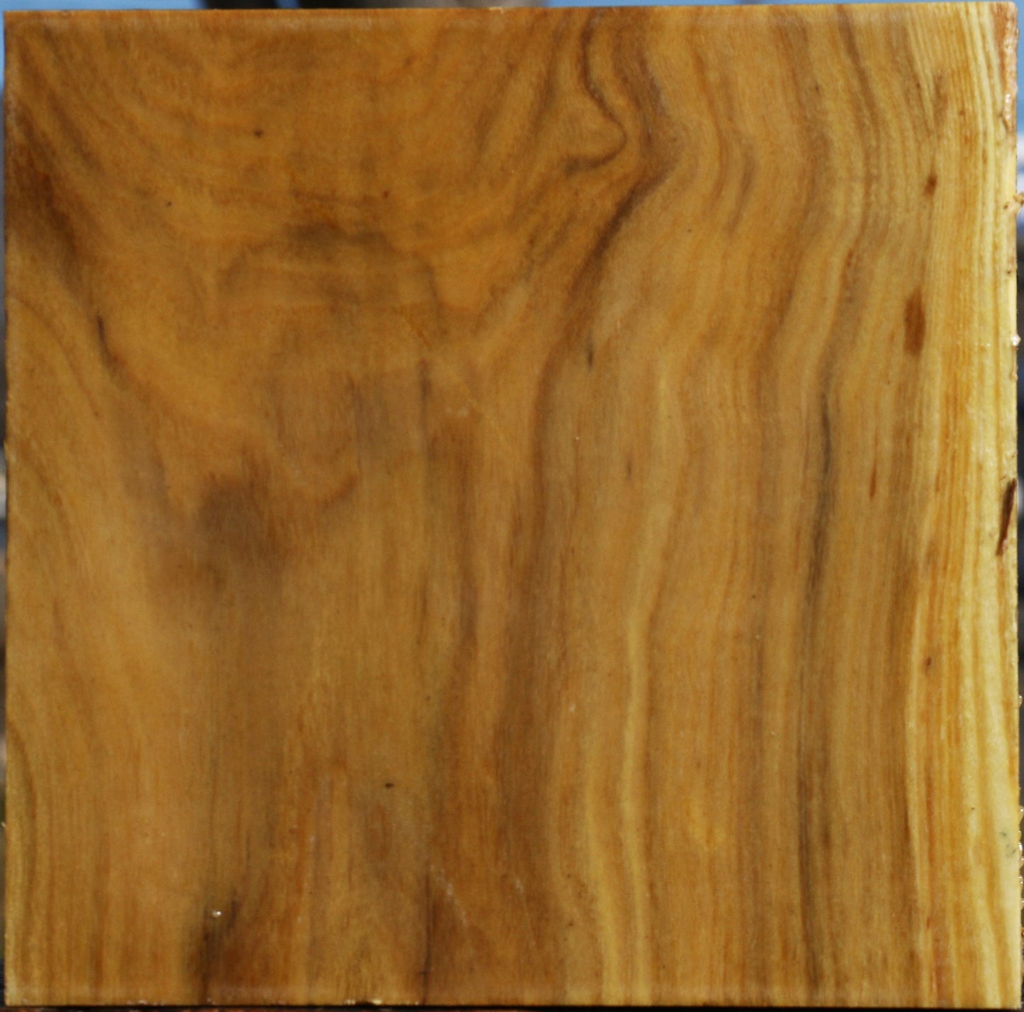Mulberry Bowl Blank