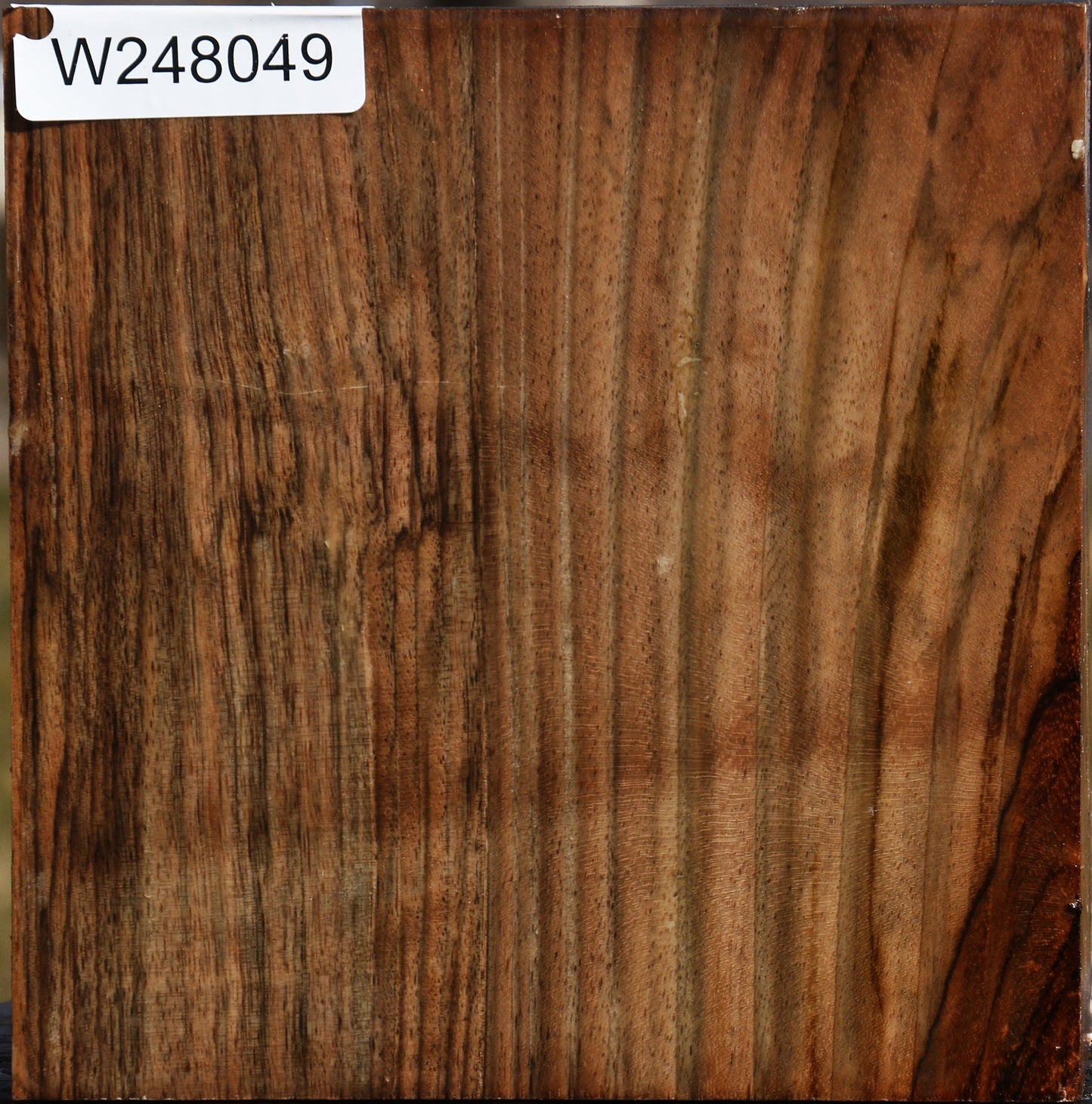 English Walnut Bowl Blank