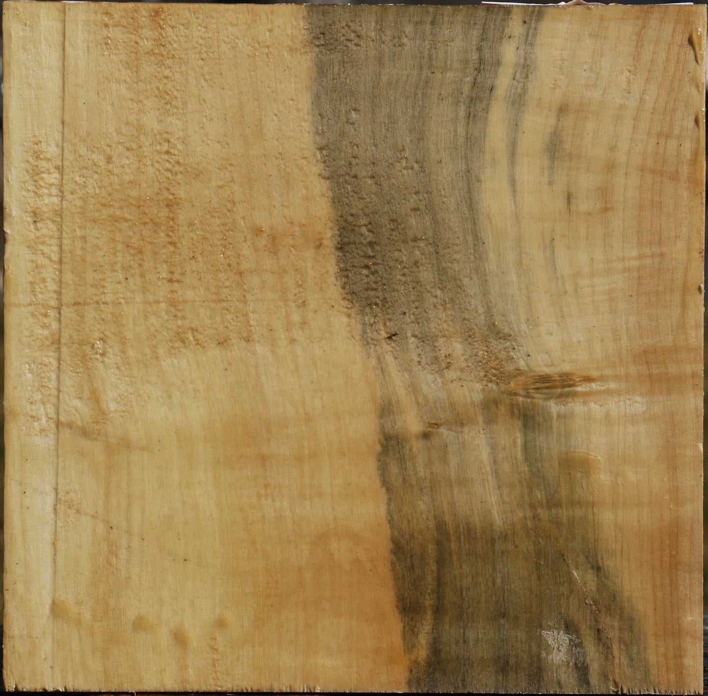 Figured Black Cottonwood Bowl Blank