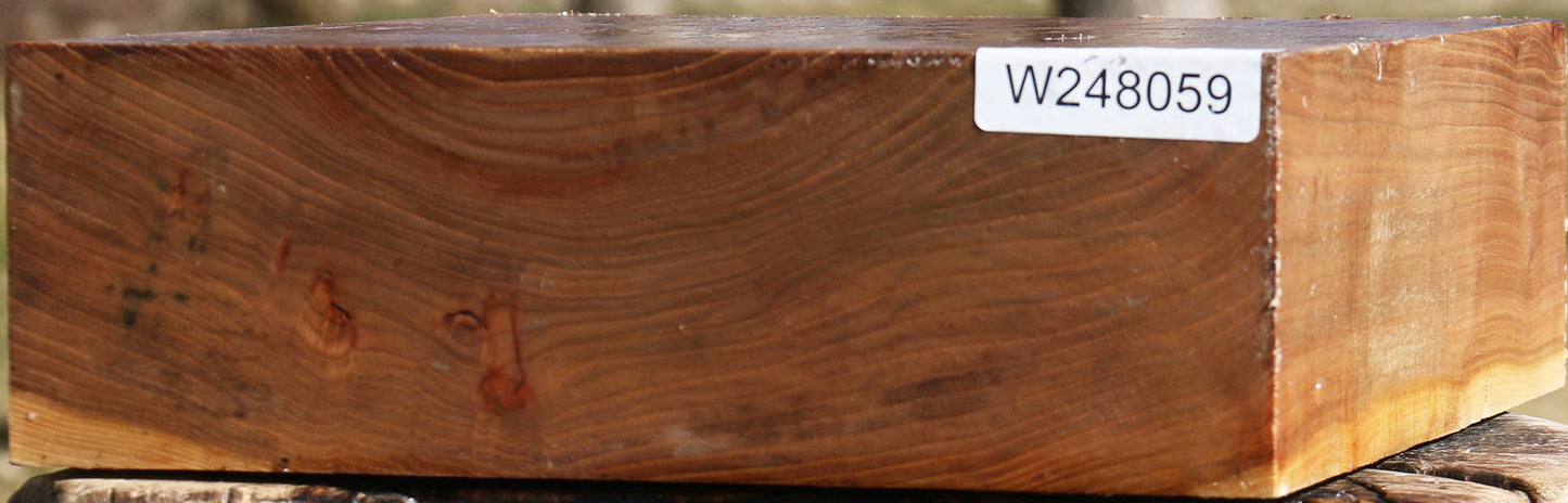 Elm Bowl Blank