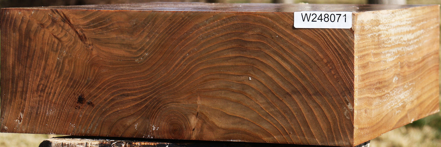 Elm Bowl Blank