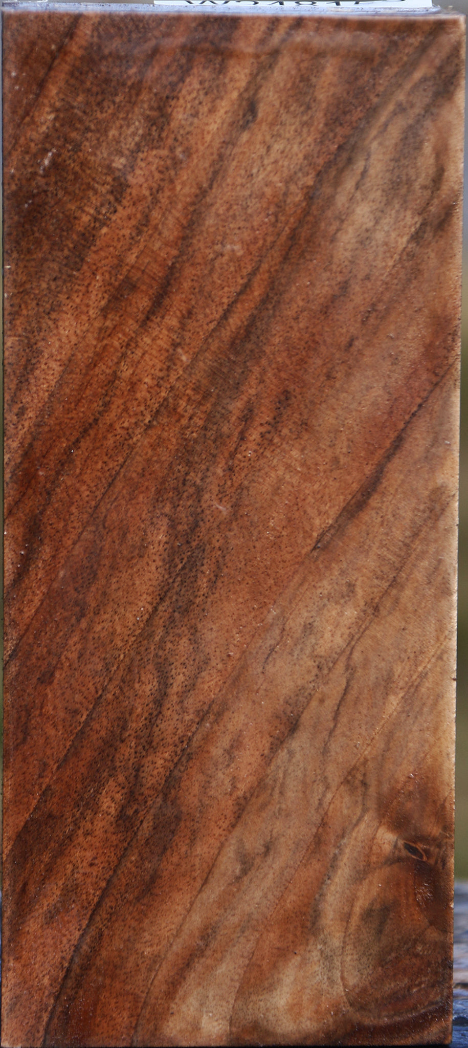Figured English Walnut Vessel Blank