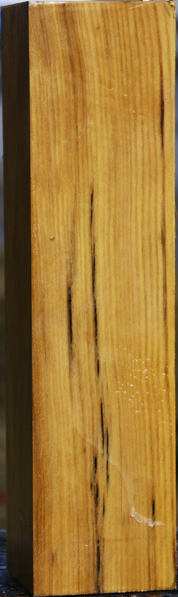 Black Locust Vessel Blank