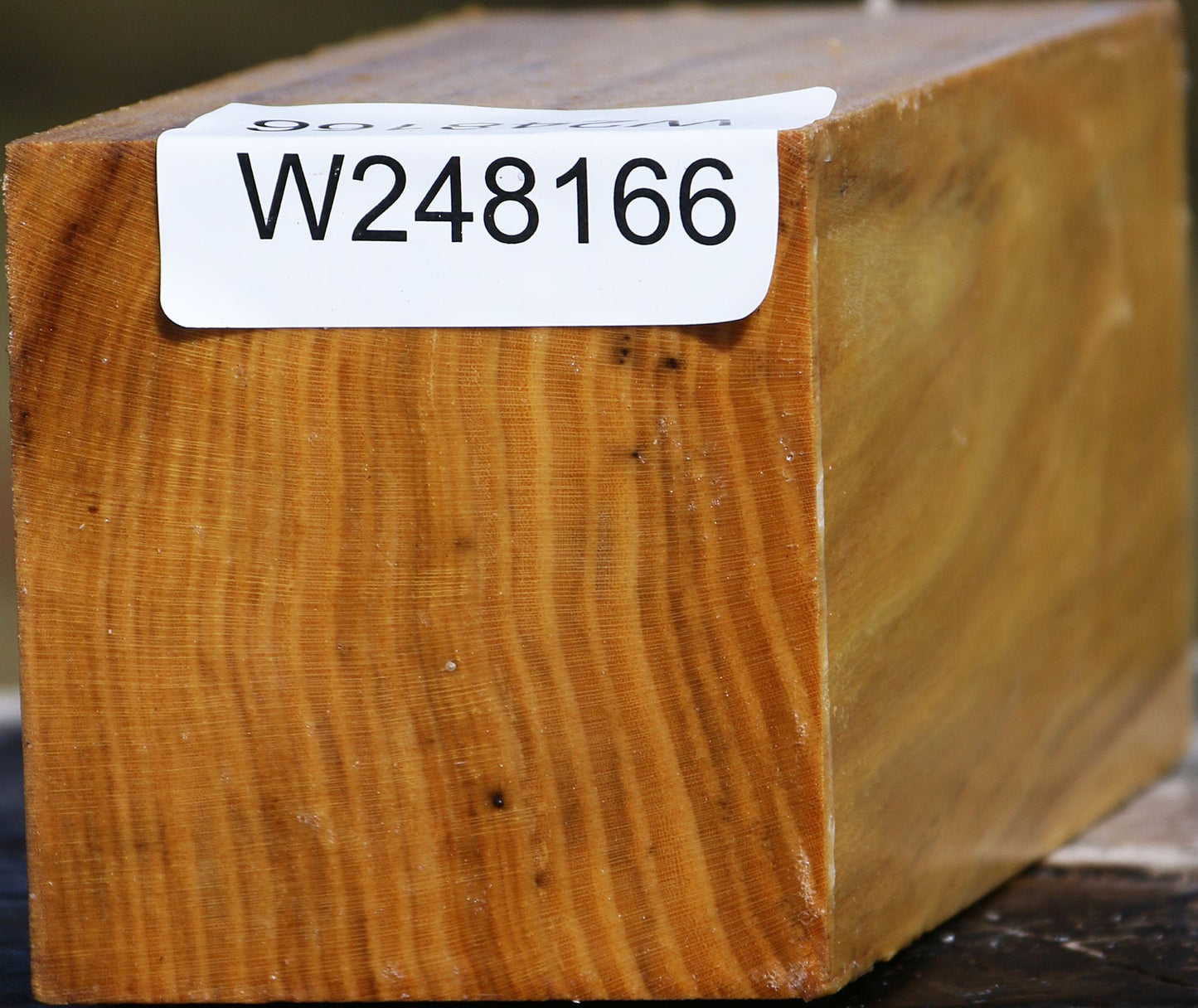 Black Locust Turning Square