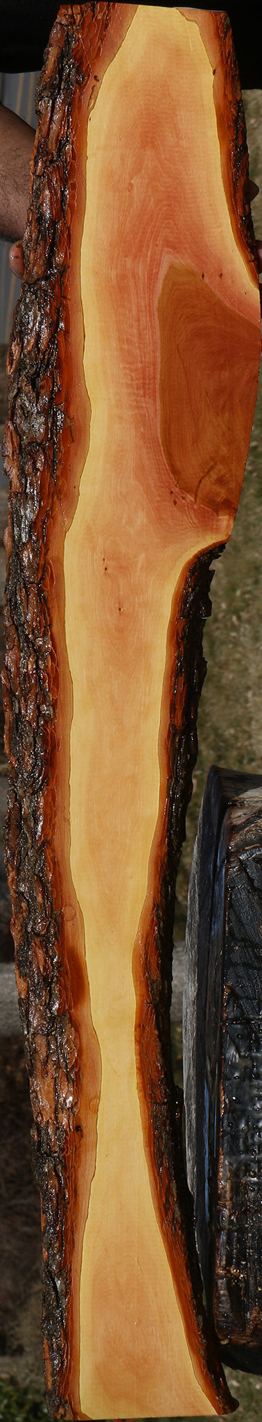 Figured Oregon Ironwood Live Edge Lumber
